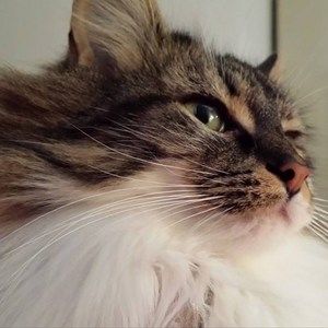 Meet your Posher, Connie